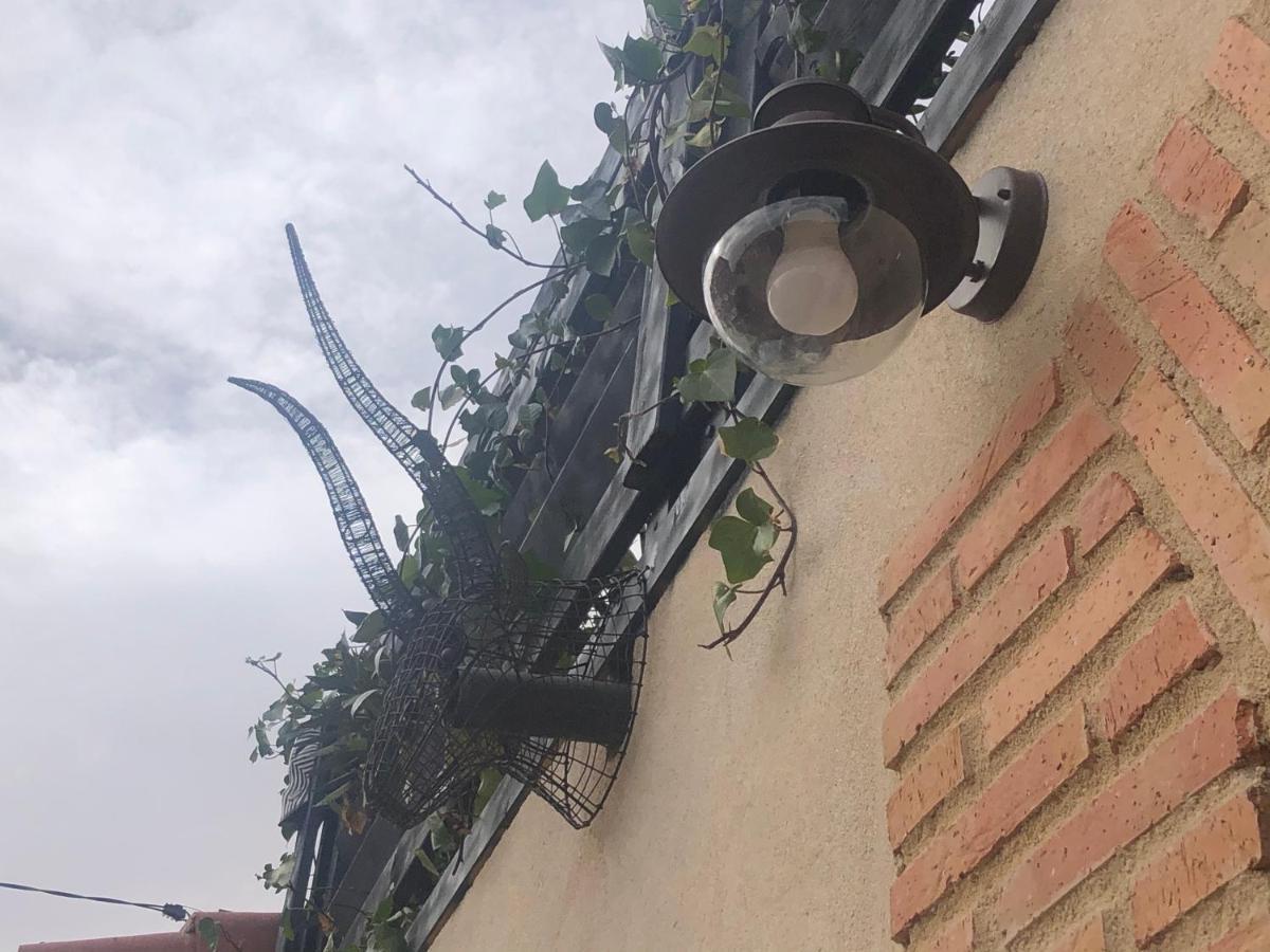 Casa Rural Atelier - Jardin Y Terraza Velliza Εξωτερικό φωτογραφία