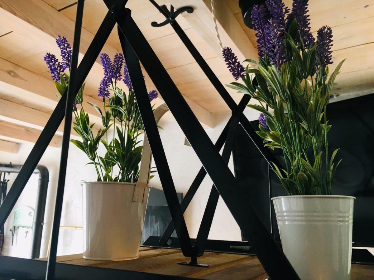 Casa Rural Atelier - Jardin Y Terraza Velliza Εξωτερικό φωτογραφία